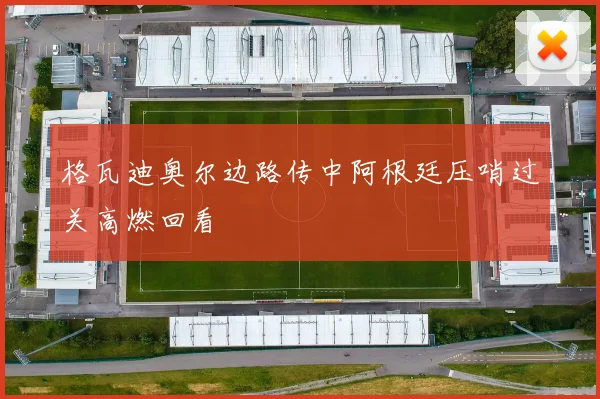 格瓦迪奥尔边路传中阿根廷压哨过关高燃回看