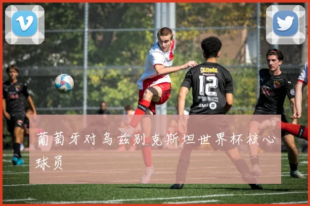 葡萄牙对乌兹别克斯坦世界杯核心球员