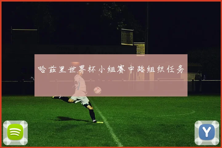 哈兹里世界杯小组赛中路组织任务