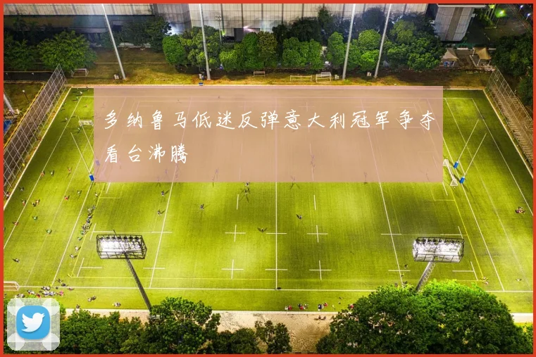 多纳鲁马低迷反弹意大利冠军争夺看台沸腾