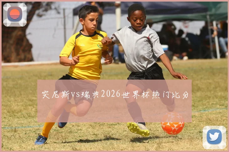 突尼斯vs瑞典2026世界杯热门比分