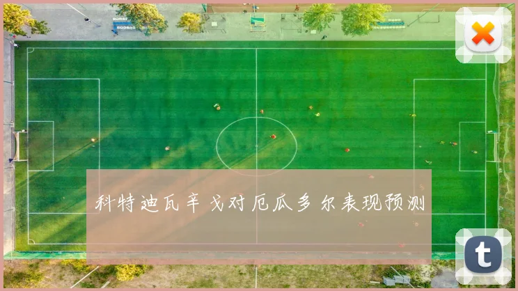科特迪瓦辛戈对厄瓜多尔表现预测
