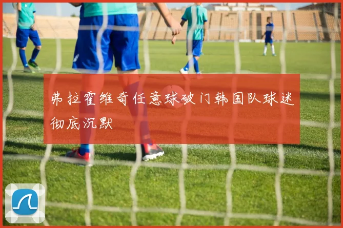 弗拉霍维奇任意球破门韩国队球迷彻底沉默