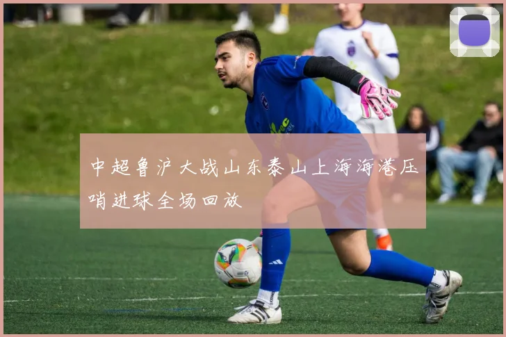 中超鲁沪大战山东泰山上海海港压哨进球全场回放