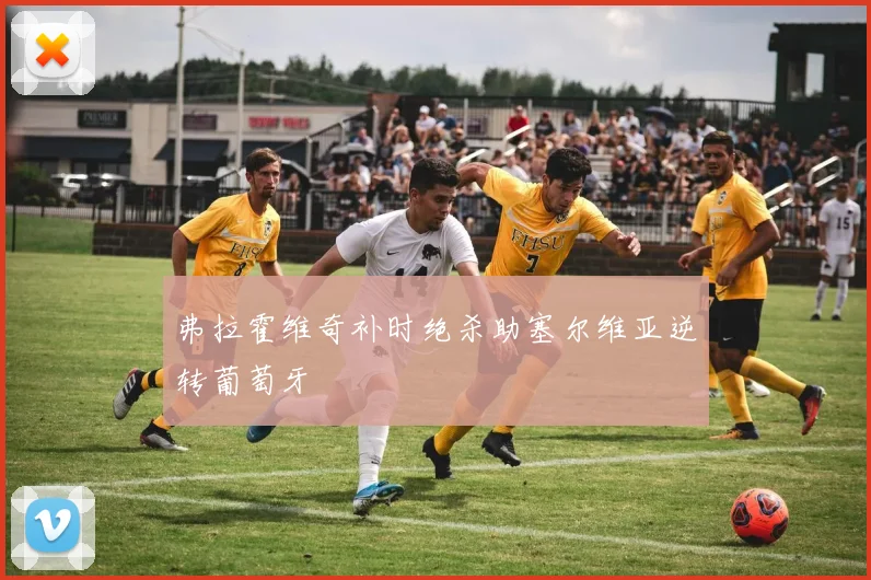 弗拉霍维奇补时绝杀助塞尔维亚逆转葡萄牙