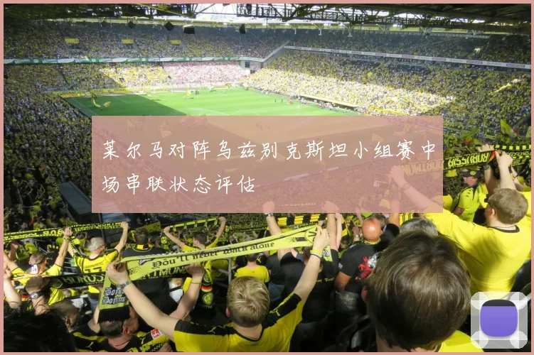 莱尔马对阵乌兹别克斯坦小组赛中场串联状态评估