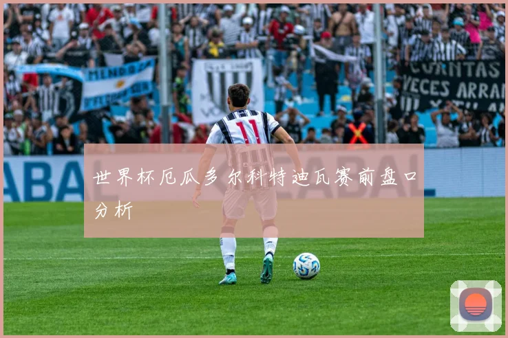 世界杯厄瓜多尔科特迪瓦赛前盘口分析